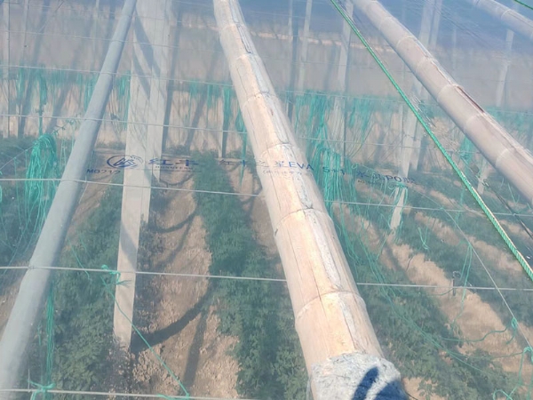 微信图片_202111190911271