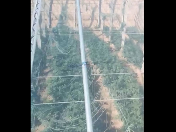 qq截图20211126091718