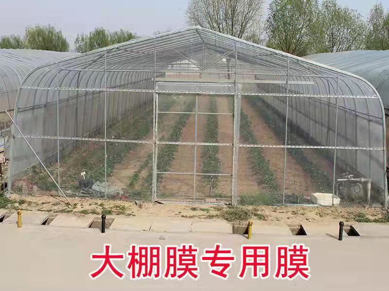 大棚专用膜